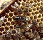 Моментальный снимок 2 (09.07.2015 17-01).png