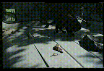 пасека 2000.gif