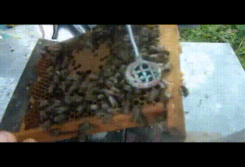 метка маток.gif