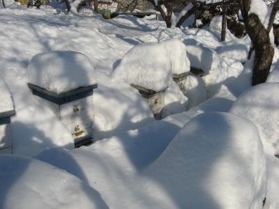 Изображение 014.jpg