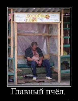prikolnye-pozdravlenija-pasechnikov_2.jpg