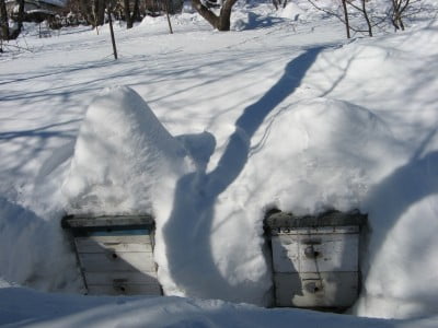 Изображение 023.jpg