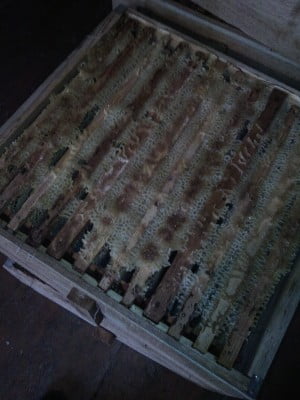 Естественный холстик.jpg