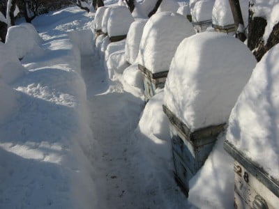 Изображение 015.jpg