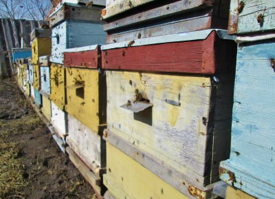 IMG_0001 - копия.JPG