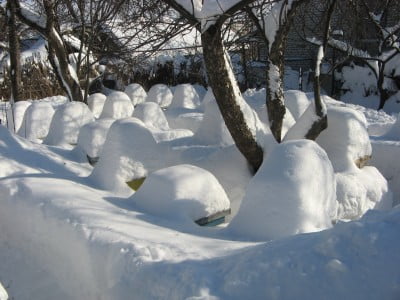 Изображение 013.jpg