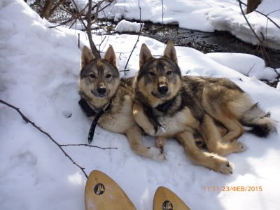 2015-02-23 08-11-26.JPG