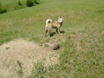 2014-03-27 22-34-06 (2).JPG