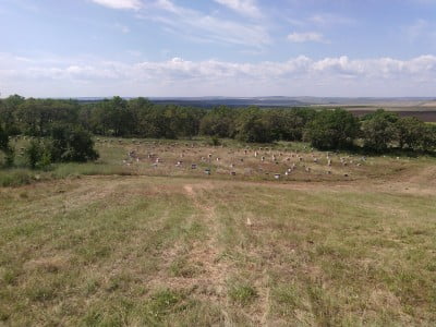 Вид пасеки (точка)..jpg
