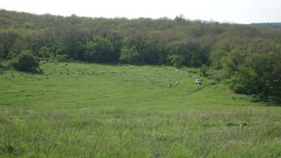 Из далека..JPG