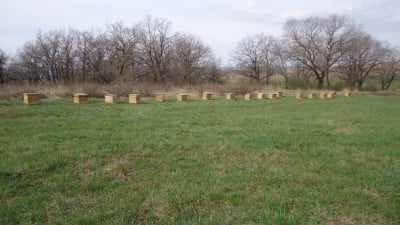 Первые ульи на лесном точке - 2014г..JPG