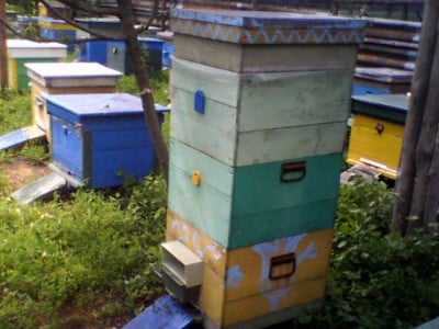 IMG0117A - копия.jpg