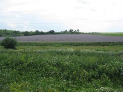 Изображение 263.jpg