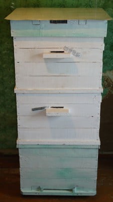 Мой улей..JPG