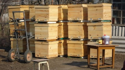 Новые ульи..JPG