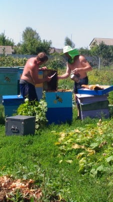 P_20160806_122211 - копия.jpg