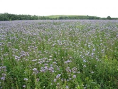 Изображение 267.jpg