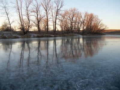 2016-11-24 14-44-10.JPG