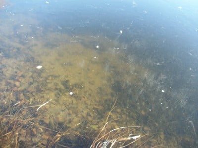 2016-11-24 13-31-50.JPG