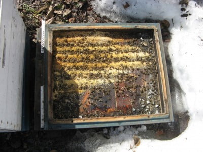 Изображение 037.jpg