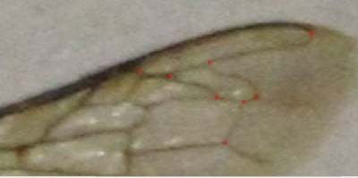 разметил точки.JPG