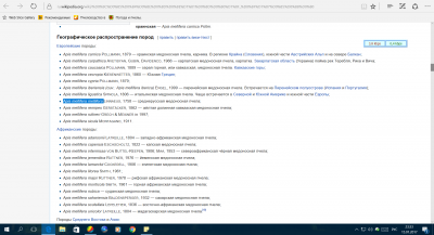 apis mellifera mellifera.png