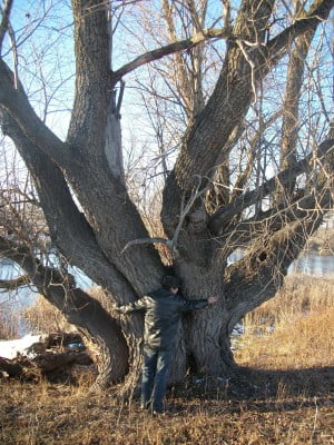 2016-11-24 13-25-16.JPG