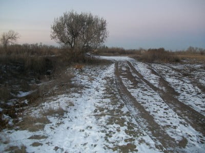 2009-01-01 12-00-10 (2).JPG