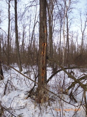 2015-03-01 12-24-22.JPG