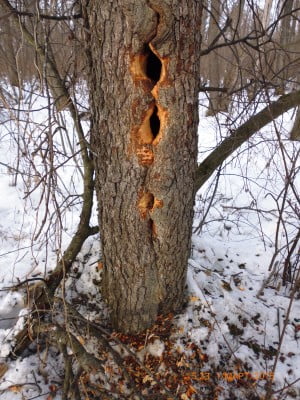 2015-03-01 12-23-20.JPG