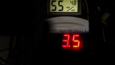 в омшанике .jpg