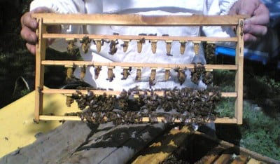 Копия Image(378).jpg