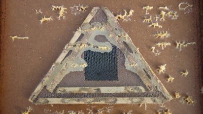 Пчелоудалитель Квебек.JPG