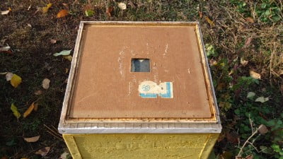 Пчелоудалитель Квебек на улье.JPG