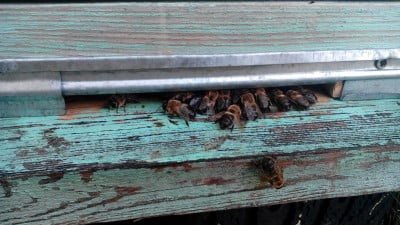 IMG_20170919_152003 (1).jpg