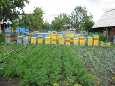 Изображение 259.jpg