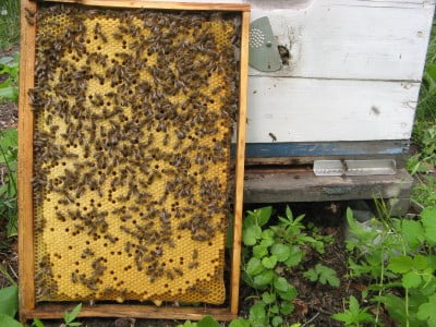 Изображение 052.jpg