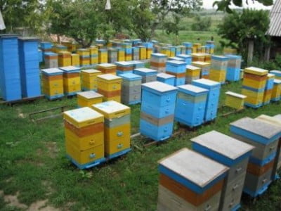 Изображение 260.jpg