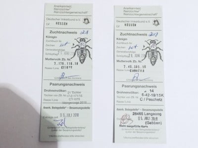 F5AB5E7F-D4DD-4F85-BBFC-0AFF182B5C38 (2).jpeg