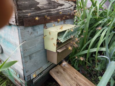 2018-07-25 13-41-45.JPG