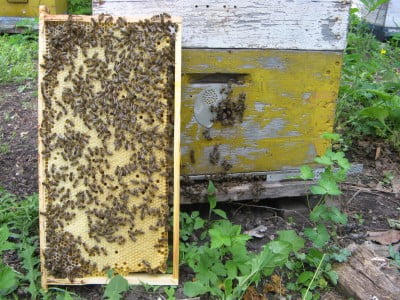 Изображение 050.jpg