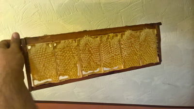 WP_20170822_07_44_53_Pro 1.jpg