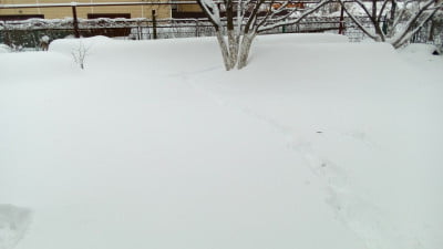 IMG-48140ec284f7f112e469f14efa0b644f-V (1).jpg