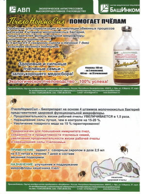 ПЧЕЛЫ_листовка _НОРМОСИЛ.jpg