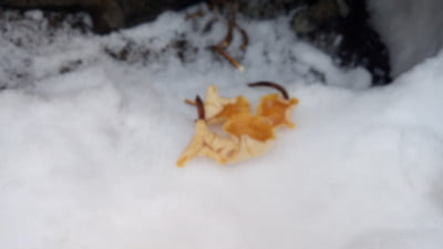 2019-03-18 12-20-55.JPG