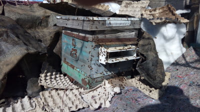 2019-03-20 12-22-49.JPG