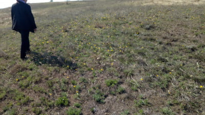 2019-04-19 15-31-45.JPG