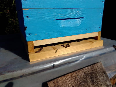 Леток 20 мм.jpg