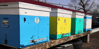 WhatsApp Image 2020-03-08 at 16.25.28.jpeg