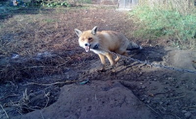 20112013260 - копия.jpg